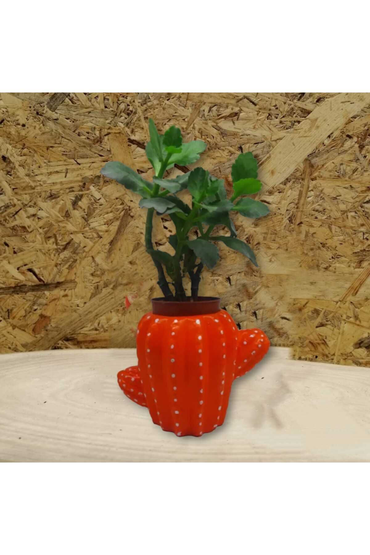 Dodemert Home Turuncu Kaktüs Saksı & Mumluk Dekoratif