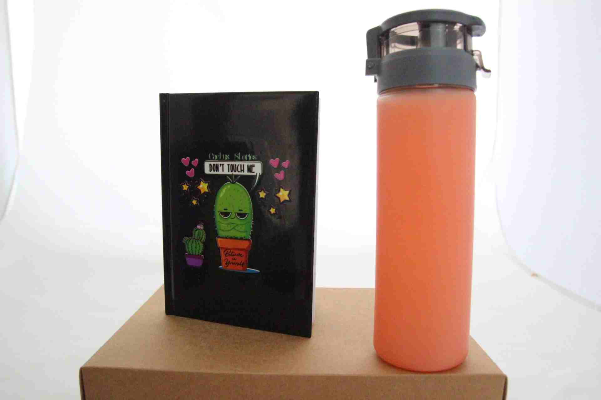 Turuncu Termos Ve Kaktüs Temalı Siyah Defter Hediye Kutusu