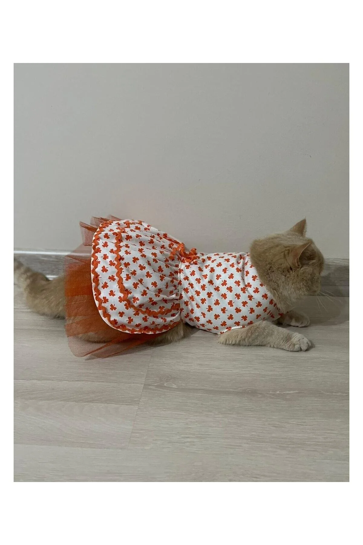 Turuncu Yaprak Desenli Kurdeleli Beyaz Kedi Köpek Kıyafeti Elbisesi