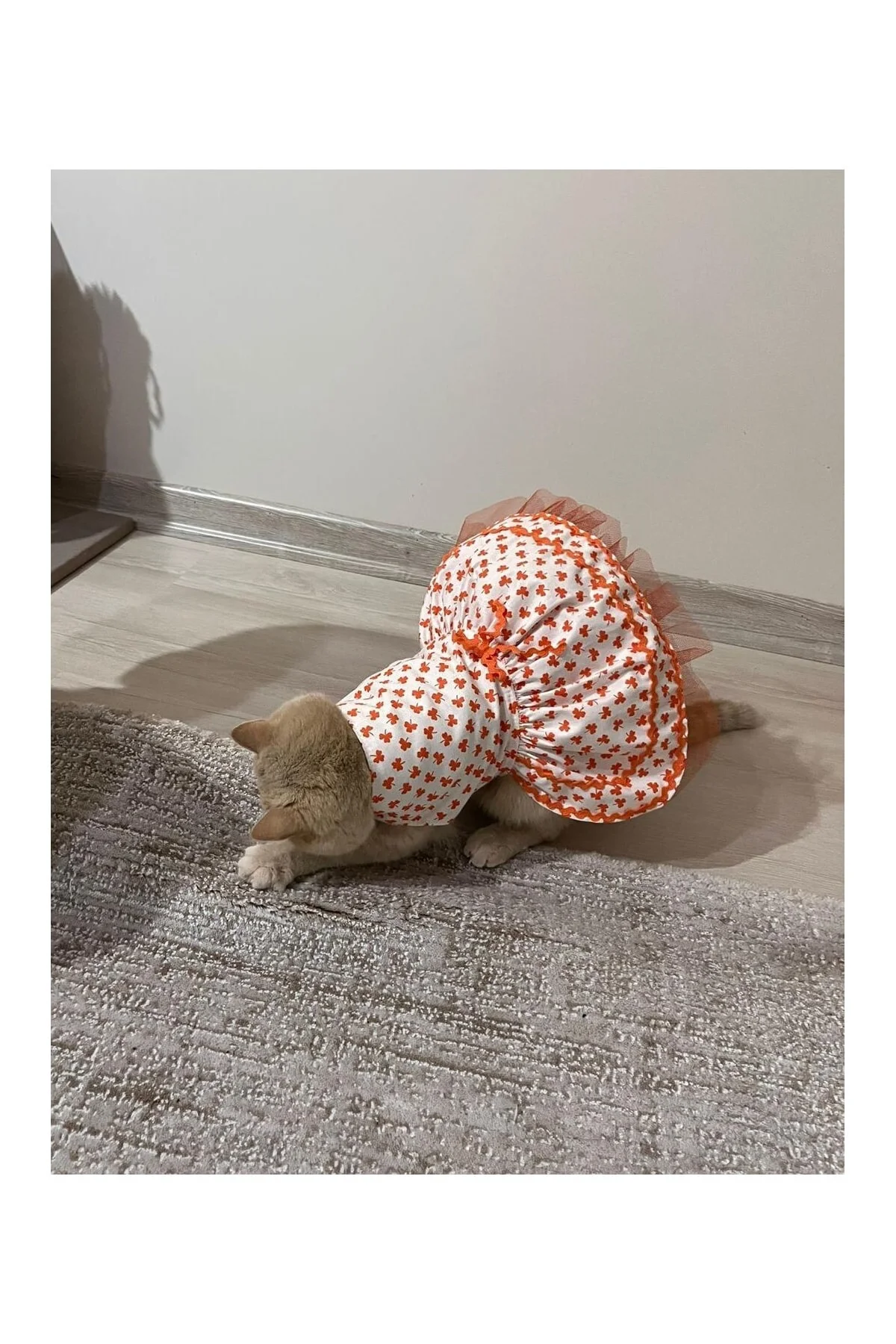 Turuncu Yaprak Desenli Kurdeleli Beyaz Kedi Köpek Kıyafeti Elbisesi