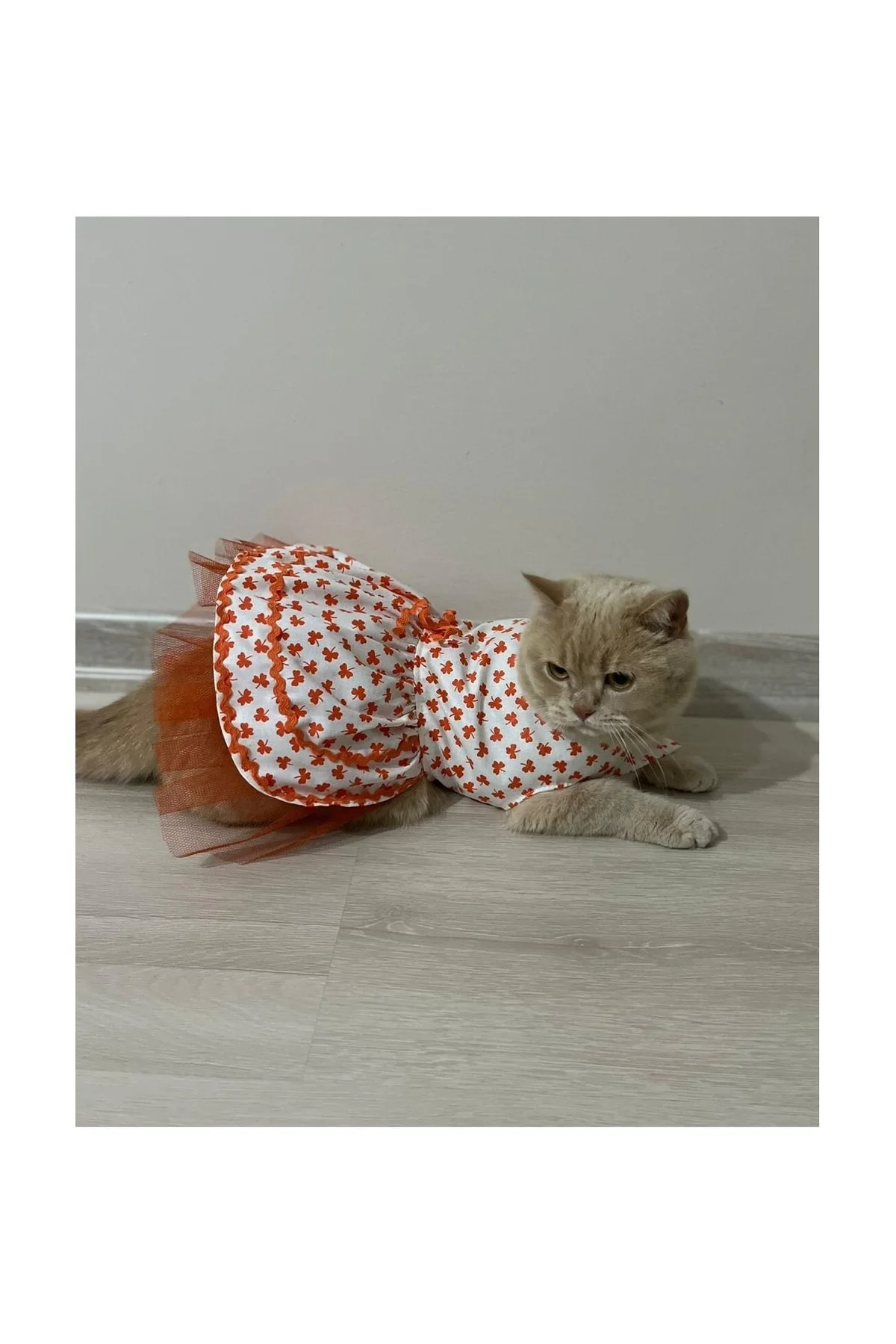 Turuncu Yaprak Desenli Kurdeleli Beyaz Kedi Köpek Kıyafeti Elbisesi