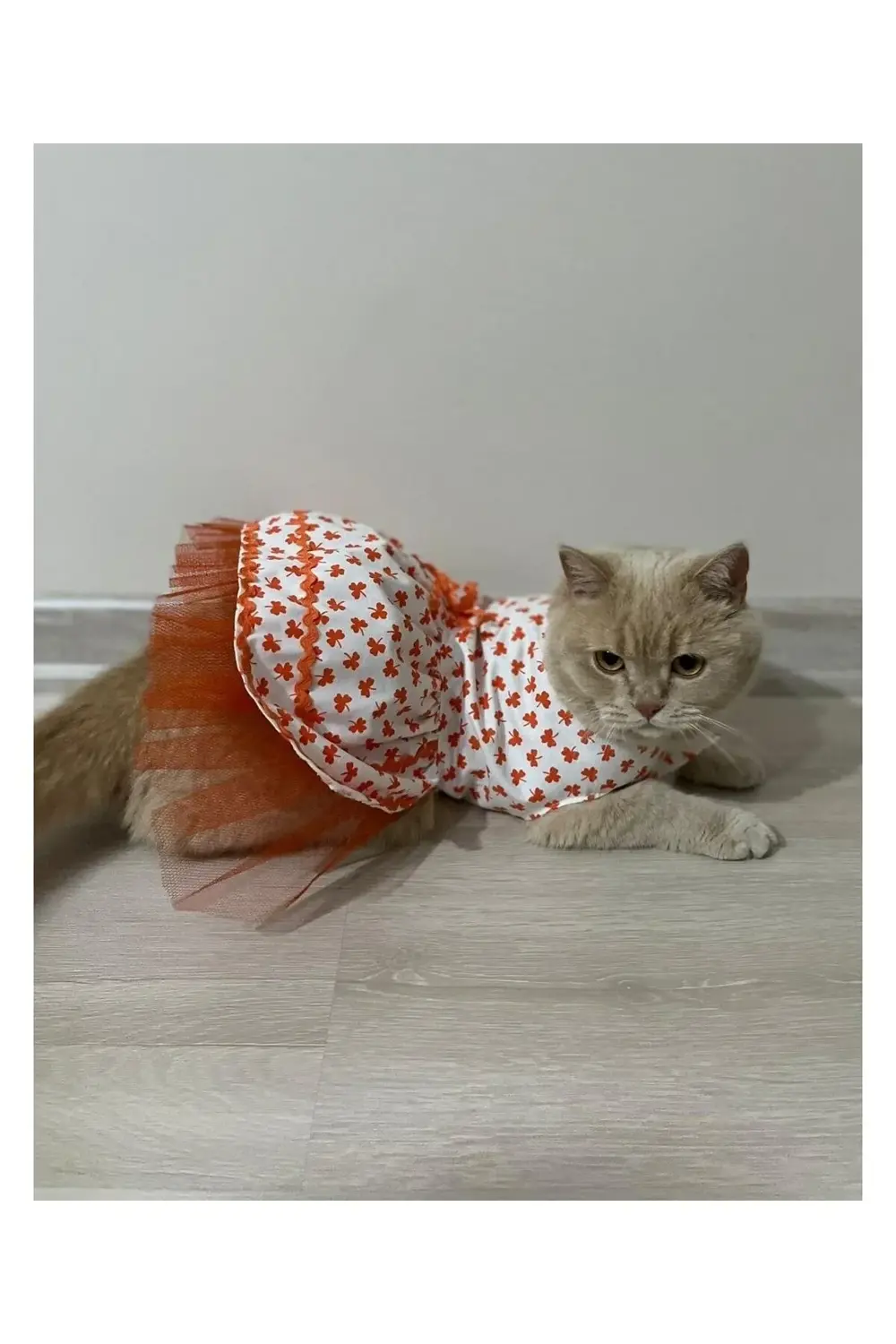 Turuncu Yaprak Desenli Kurdeleli Beyaz Kedi Köpek Kıyafeti Elbise