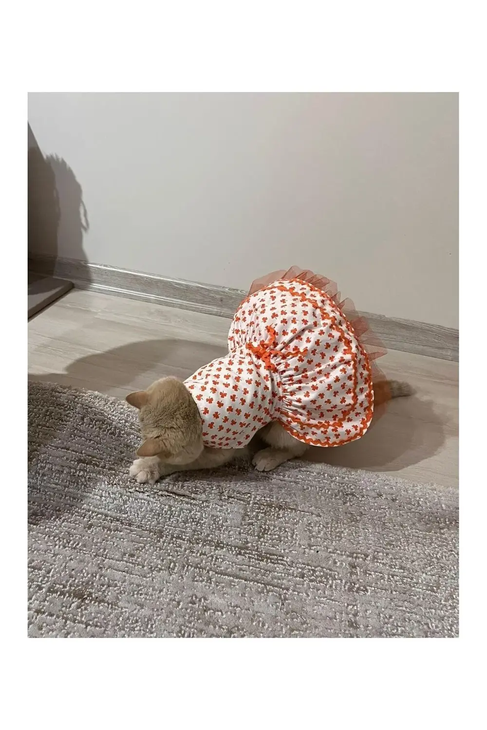 Turuncu Yaprak Desenli Kurdeleli Beyaz Kedi Köpek Kıyafeti Elbise