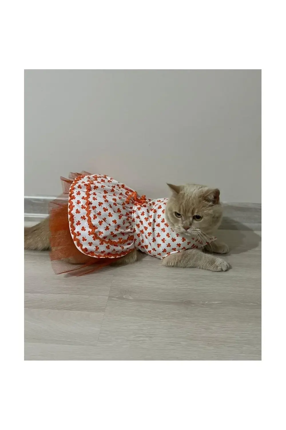 Turuncu Yaprak Desenli Kurdeleli Beyaz Kedi Köpek Kıyafeti Elbise