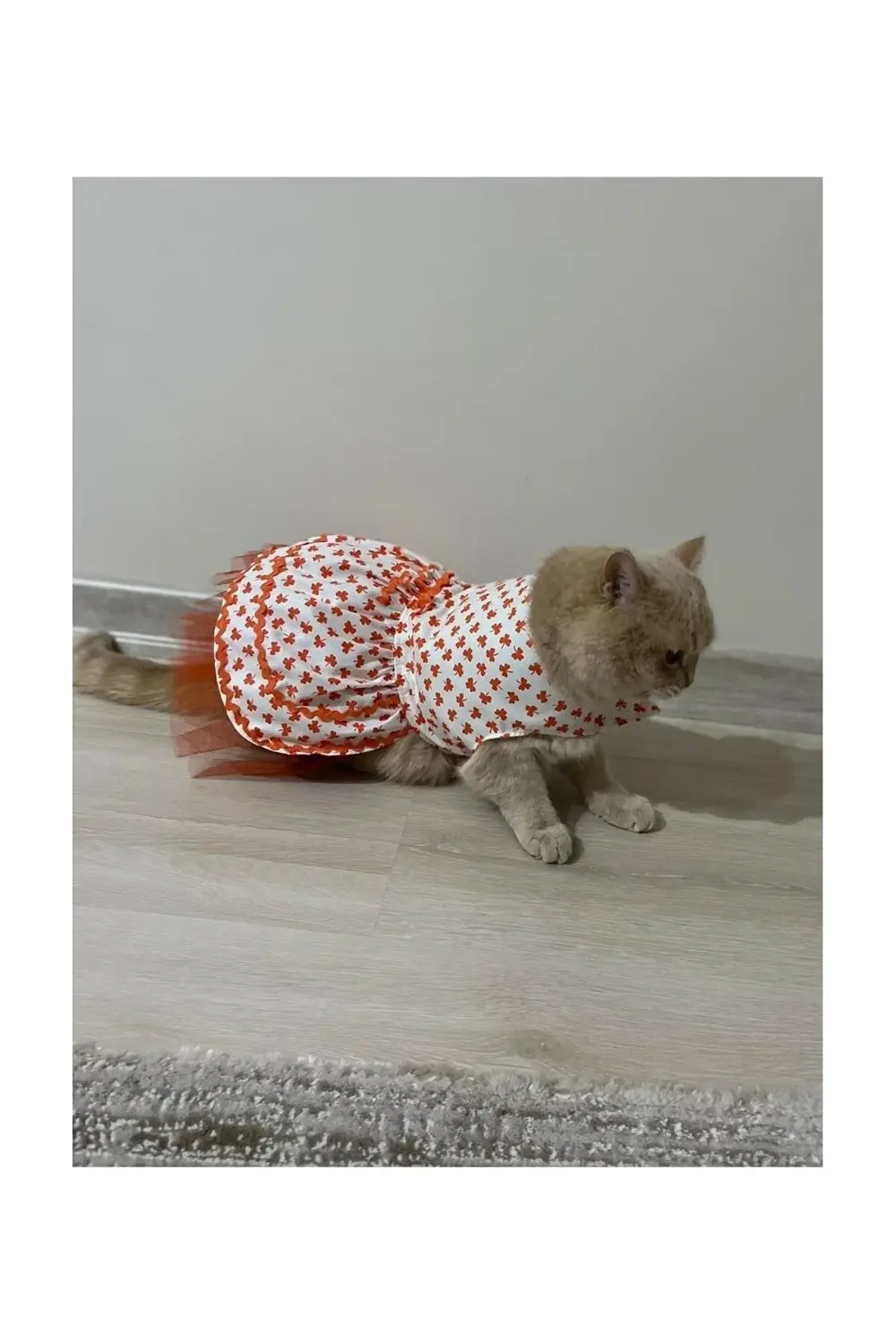 Turuncu Yaprak Desenli Kurdeleli Beyaz Kedi Köpek Kıyafeti Elbise