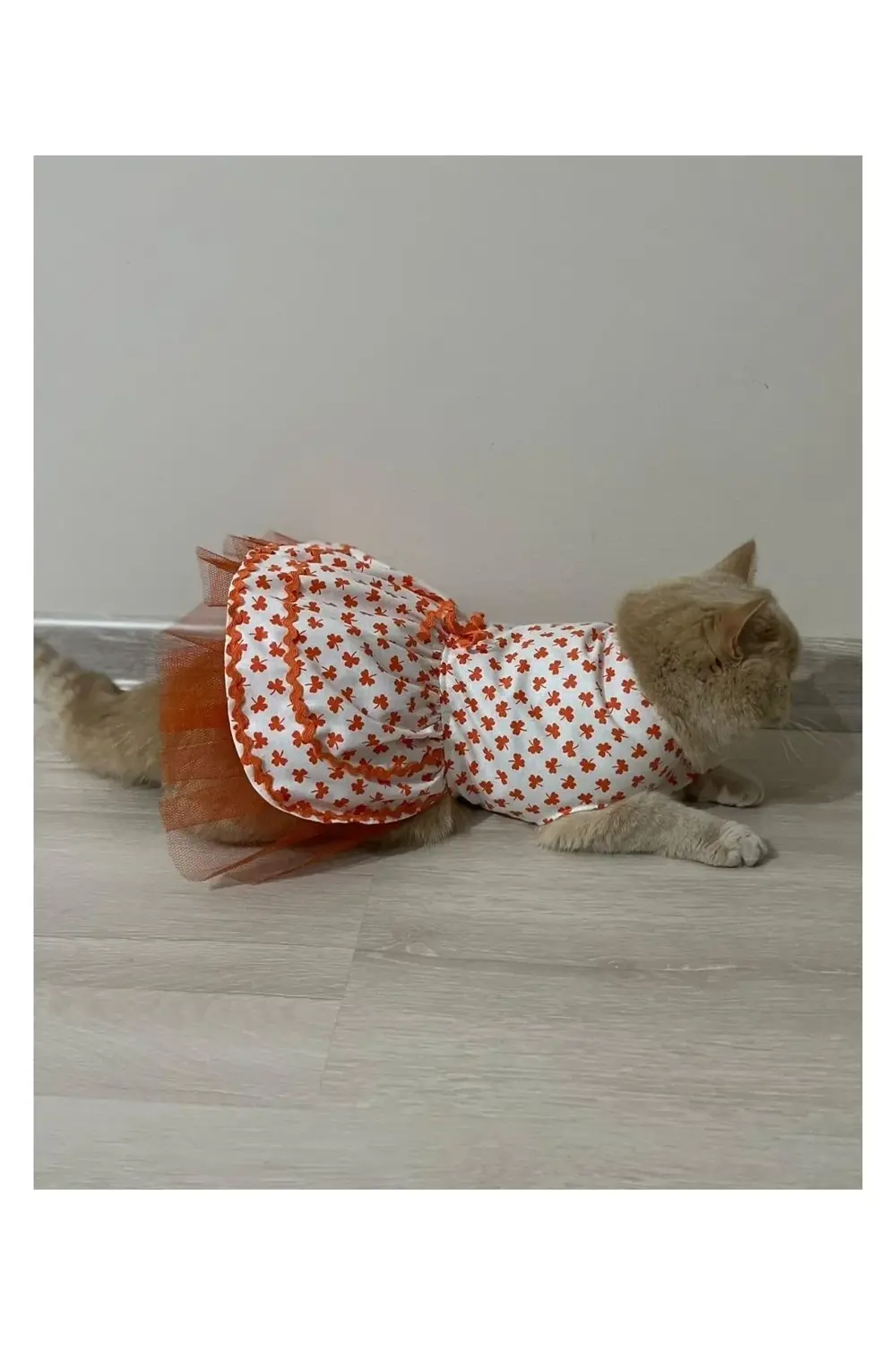 Turuncu Yaprak Desenli Kurdeleli Beyaz Kedi Köpek Kıyafeti Elbise