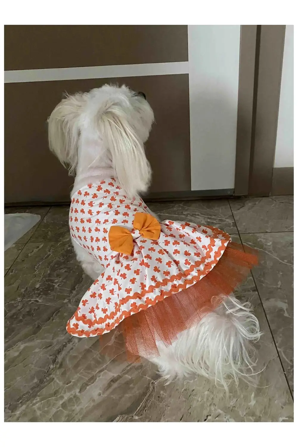 Turuncu Yaprak Desenli Papyonlu Beyaz Kedi Köpek Kıyafeti Elbises