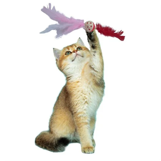 Tüylü Püsküllü Kedi Oyuncağı Dikkat Çekici Renkli Sevimli Evcil Hayvan Oyuncağı Tüylü Püsküllü Kedi Oyuncağı Dikkat Çekici Renkli Sevimli Evcil Hayvan Oyuncağı Fiyatı, Yorumları ve Özellikleri