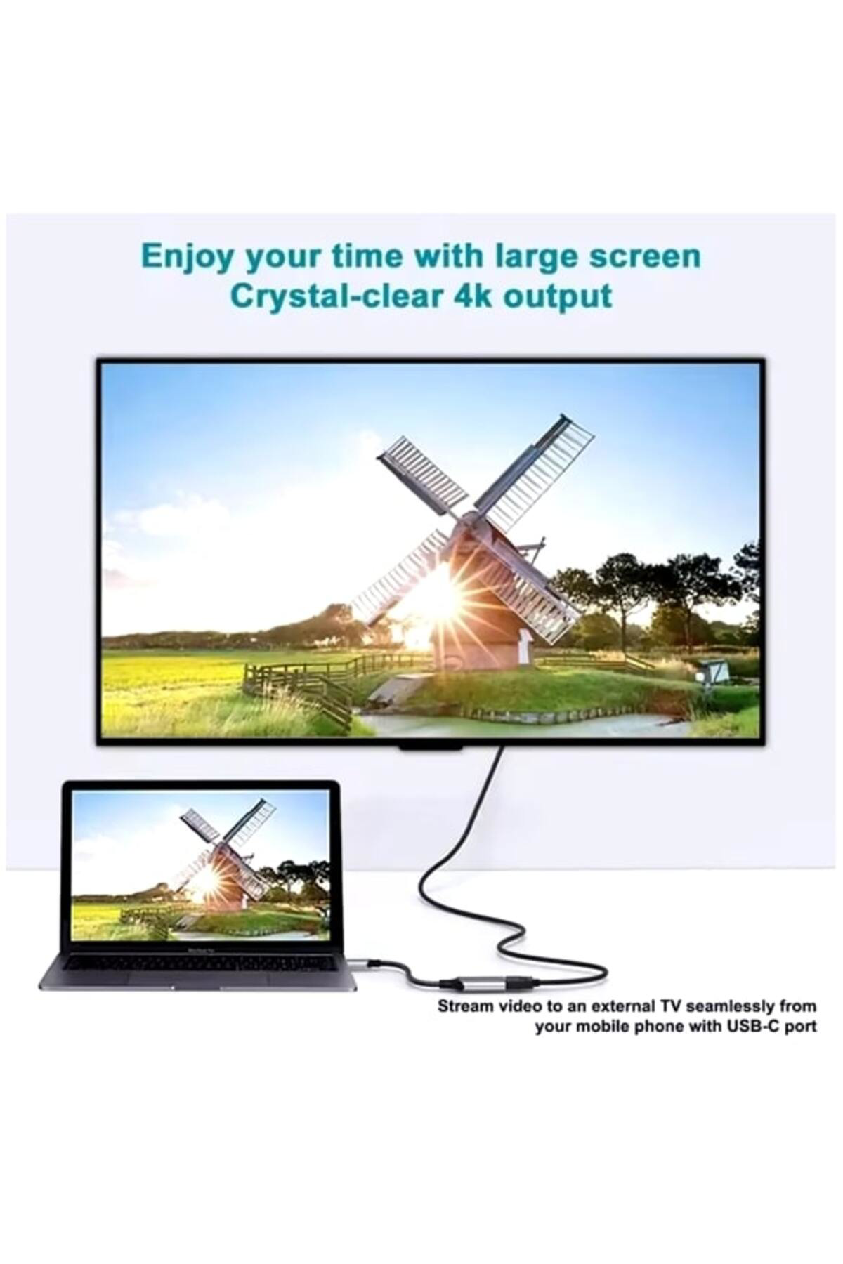 Pmr Type C To 4Kx2k Hdmi Çevirici Dönüştürücü Kablo Zr859