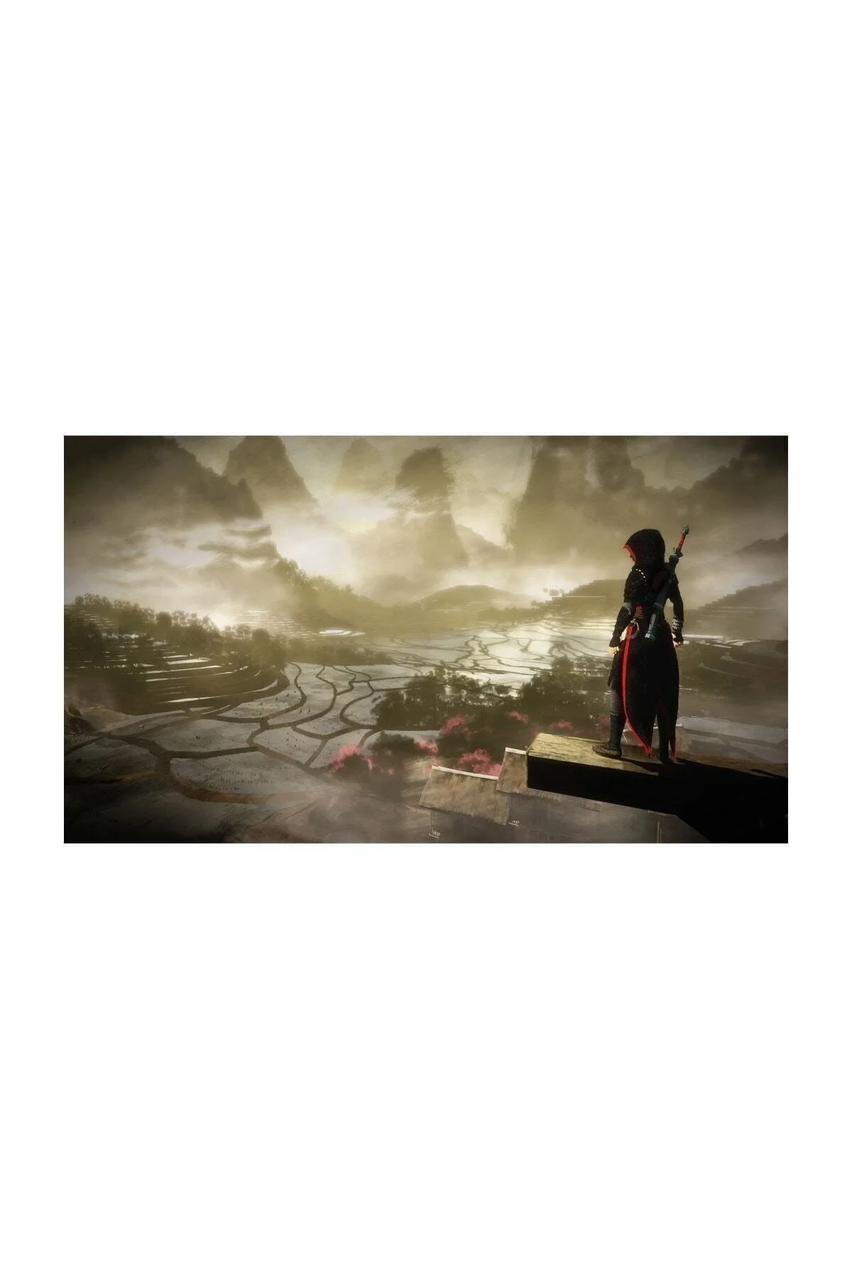 Ubisoft Assassin's Creed Chronicles PS4 Oyun