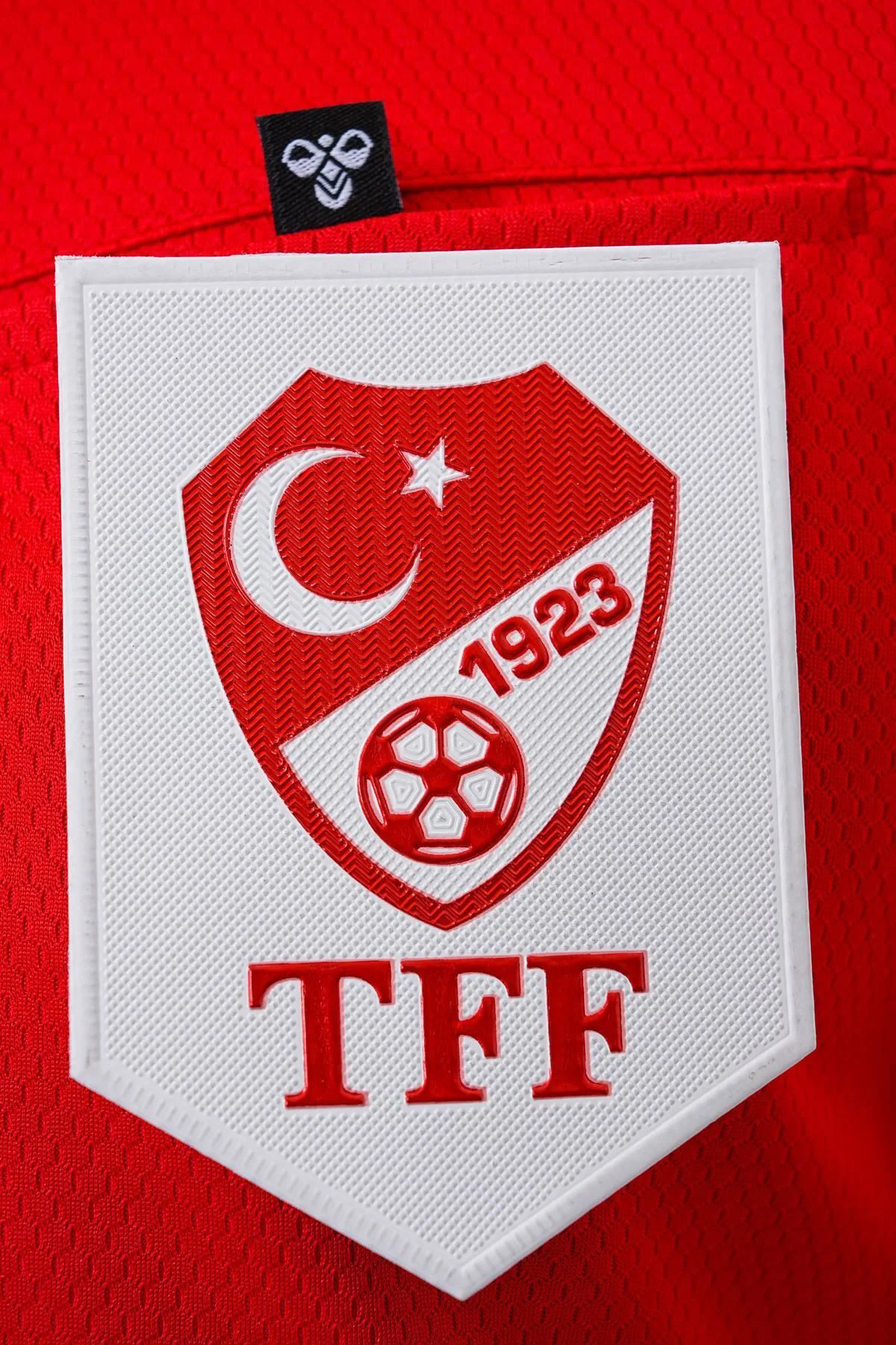 Üç Boyutlu Hologram Aday Hakem Kokartı, TPU