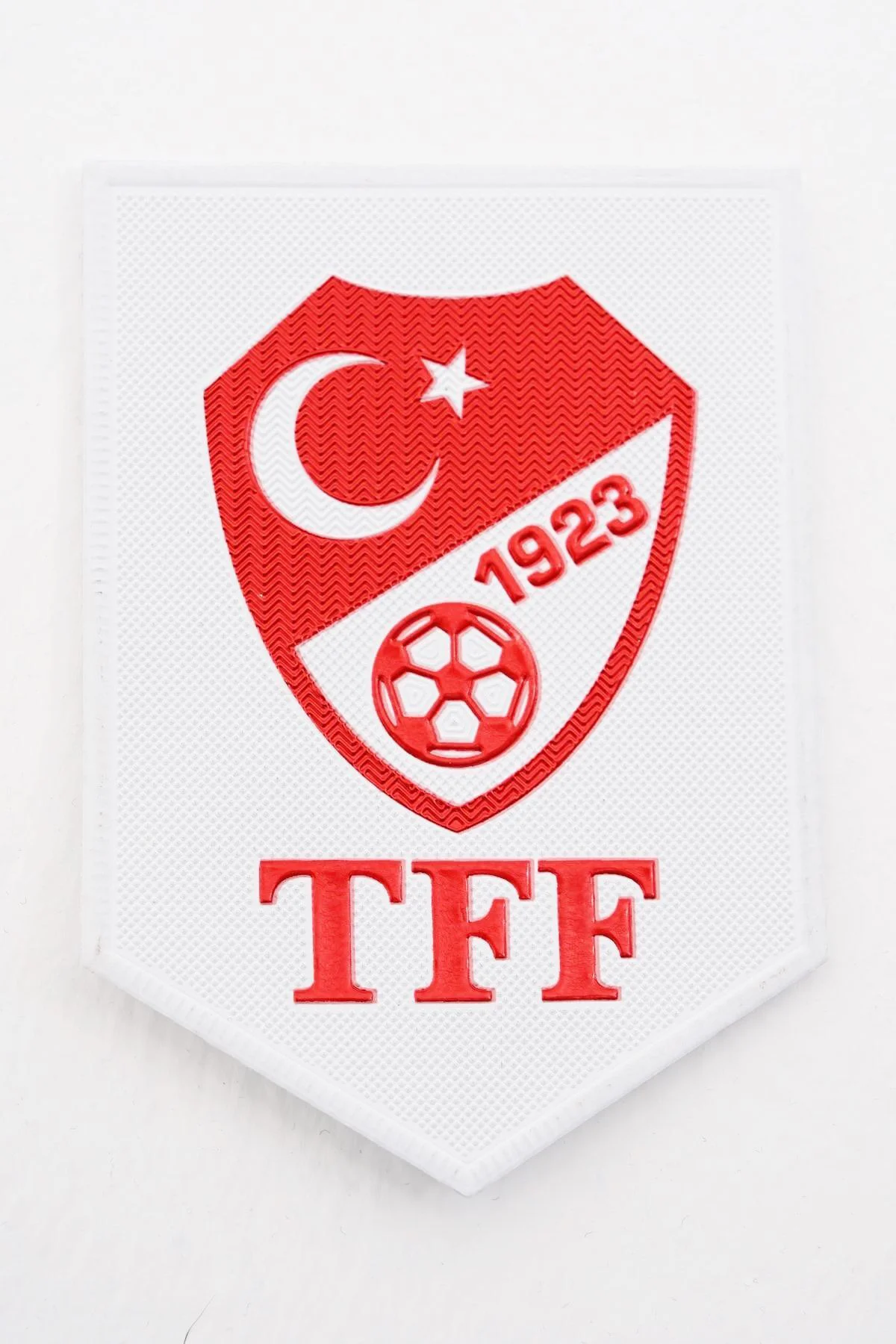 Üç Boyutlu Hologram Aday Hakem Kokartı, TPU