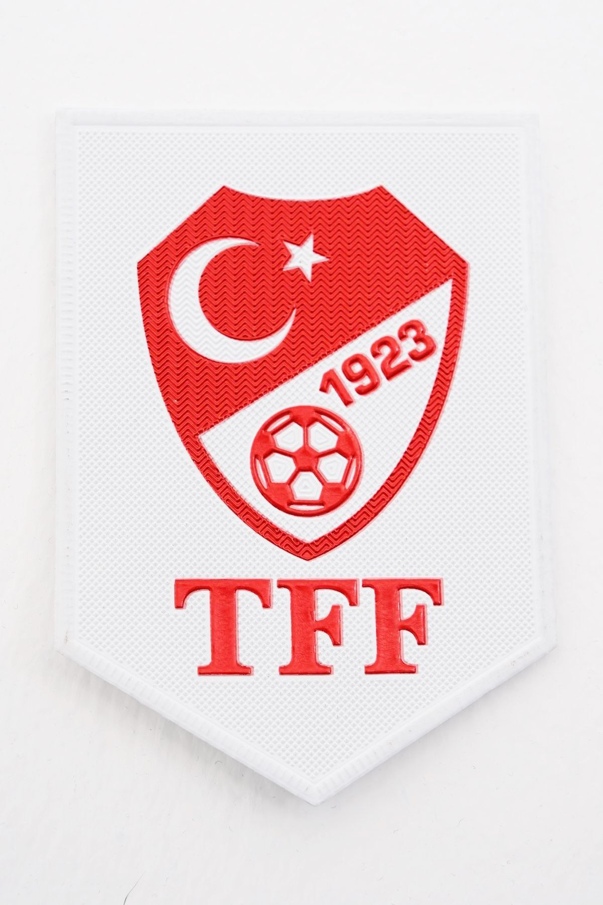 K18moda Üç Boyutlu Hologram Aday Hakem Kokartı, Tpu