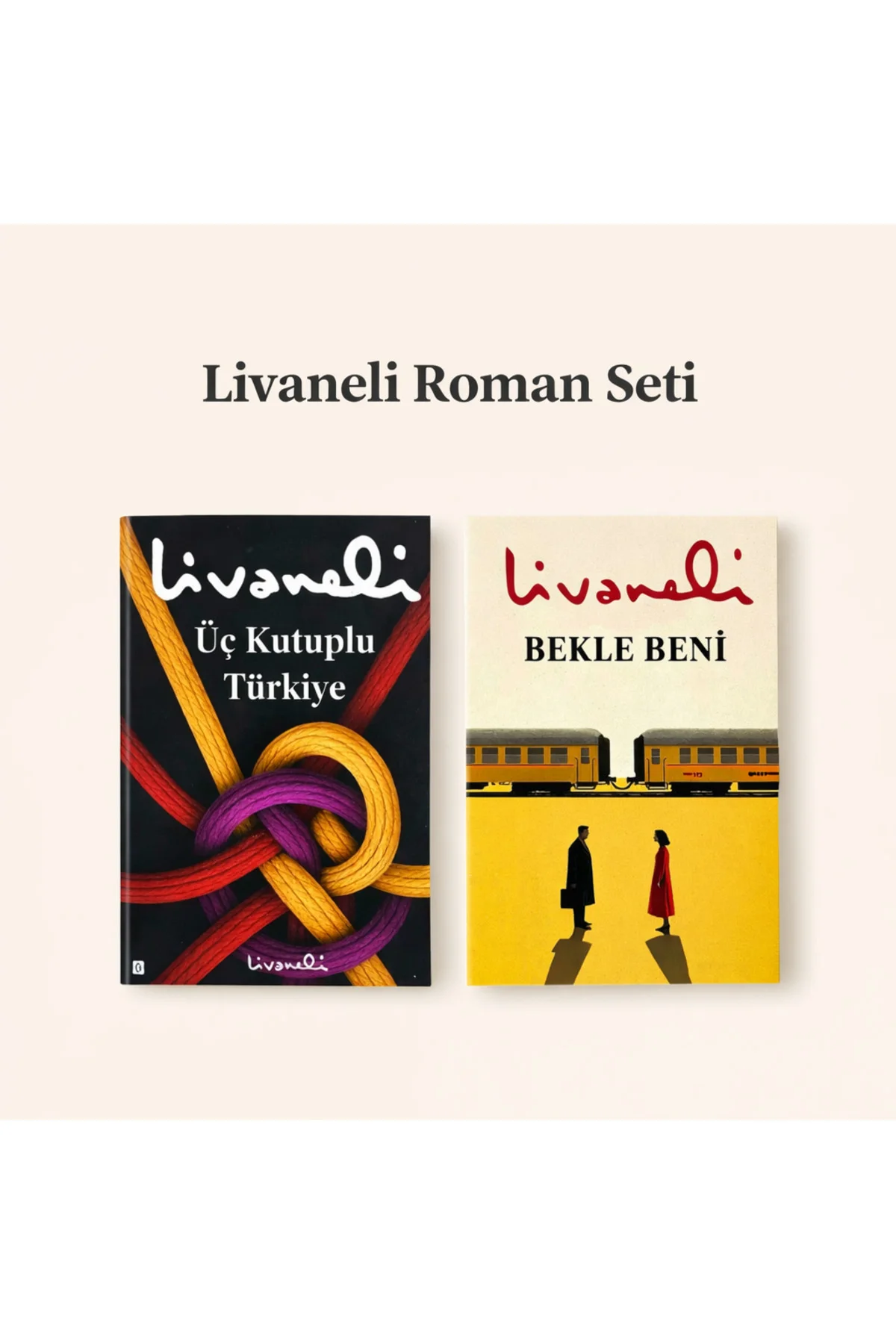 Üç Kutuplu Türkiye & Bekle Beni 2 kitap Set