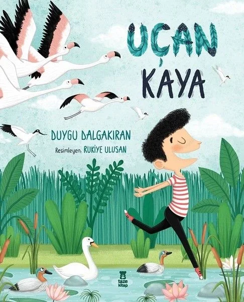Uçan Kaya Fiyatı, Yorumları ve Özellikleri