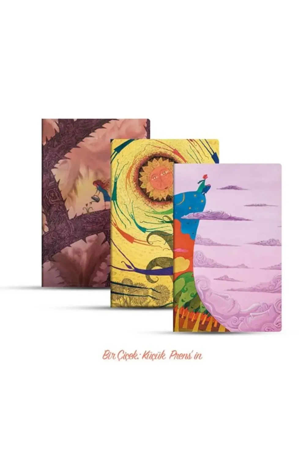 Üçlü Çizgisiz Defter Seti Bir Çiçek Küçük Prensin