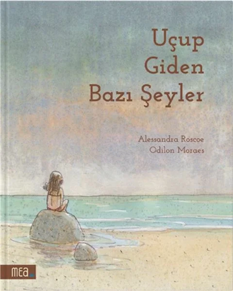 Uçup Giden Bazı Şeyler Fiyatı, Yorumları ve Özellikleri