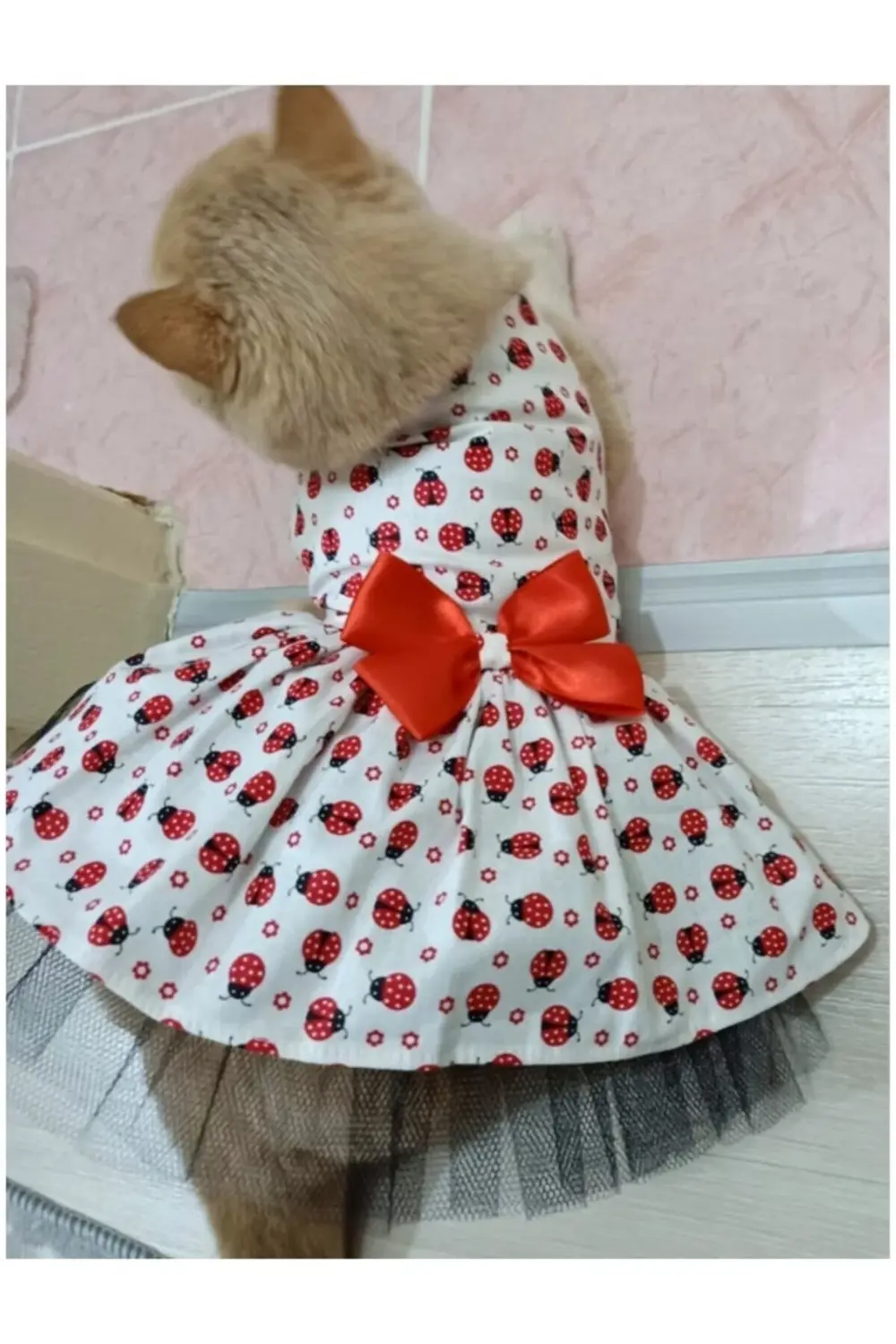 Uğur Böceği Desenli Kırmızı Kurdeleli Kedi ve Köpek Kıyafeti Elbi