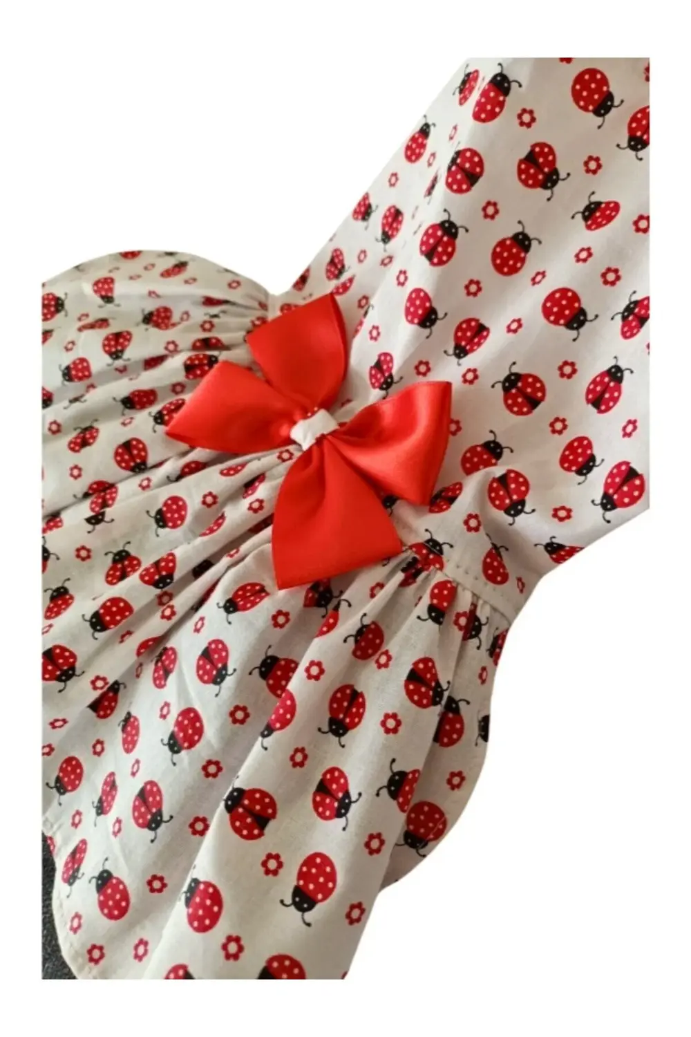 Uğur Böceği Desenli Papyonlu Kedi ve Köpek Kıyafeti Elbisesi