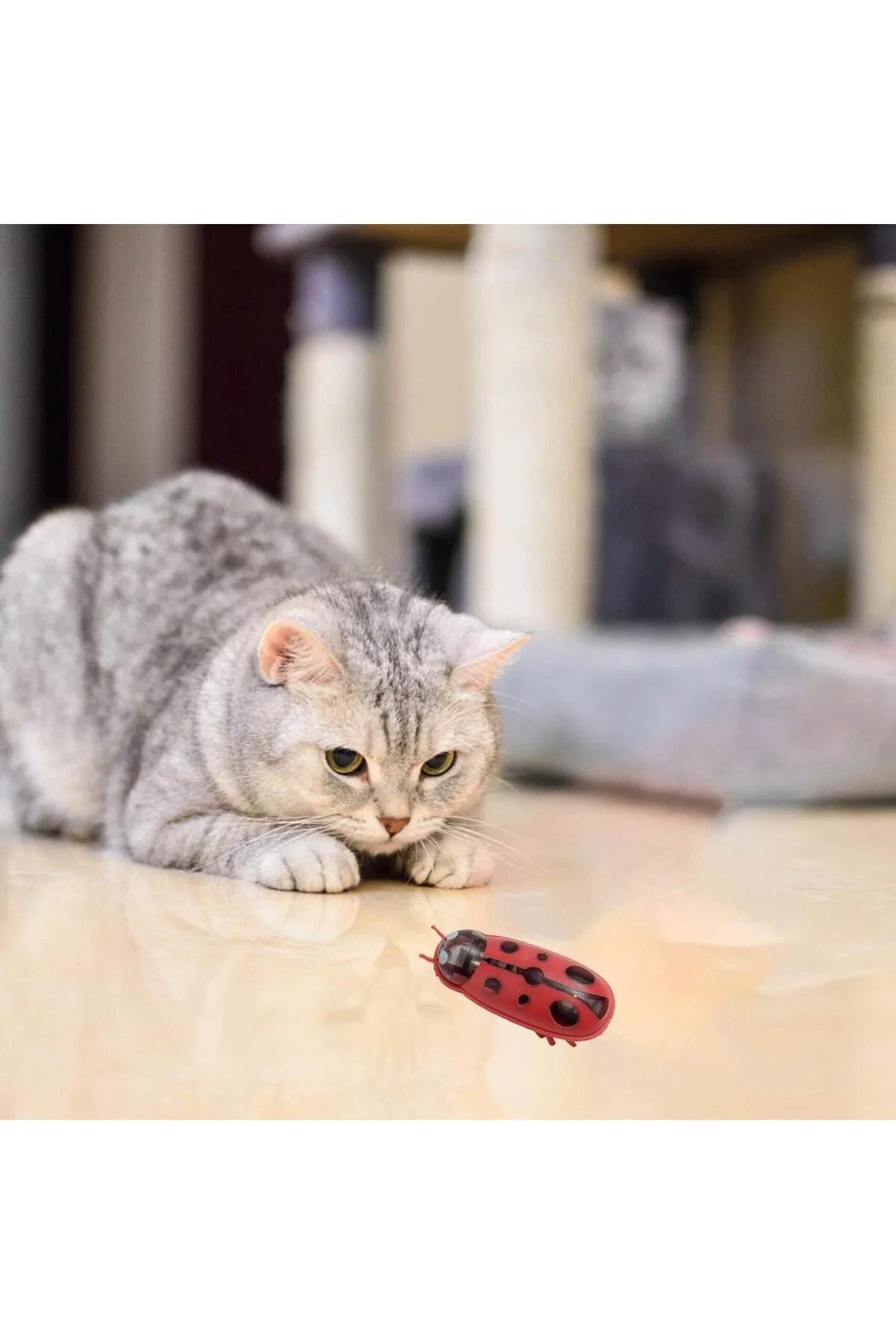 Uğur Böceği Hareketli Kedi Oyuncağı, Otomatik Hareket Eden Uğur B