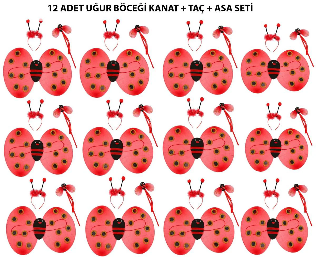 Uğur Böceği Kostüm Seti - Kanat, Taç, Asa 12 Adet