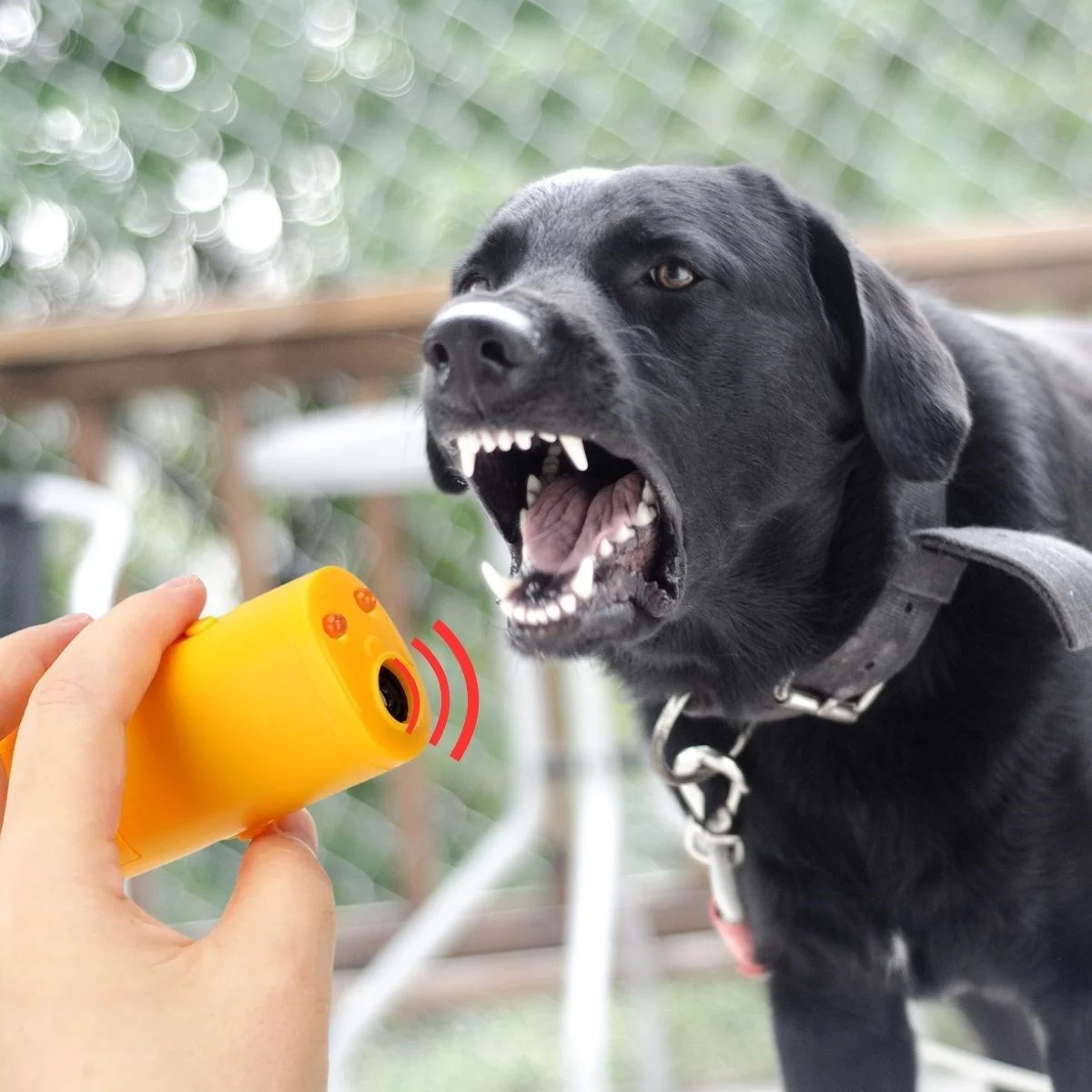 Ultrasonik Köpeksavar Köpek Kovucu Köpek Kornası Eğitim Cihazı