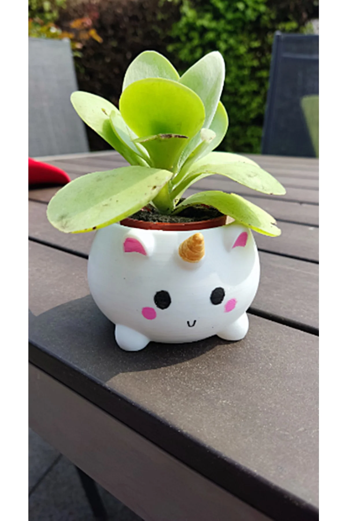 Unicorn Cuttie Saksı 13 Cm