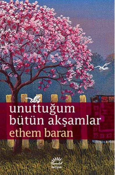 Unuttuğum Bütün Akşamlar Fiyatı, Yorumları ve Özellikleri