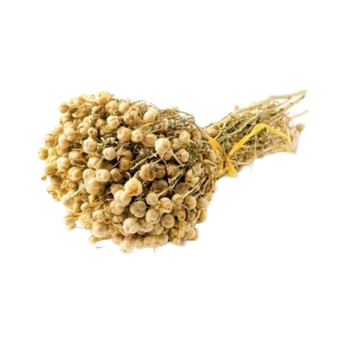 Şifa Üzerlik Demet