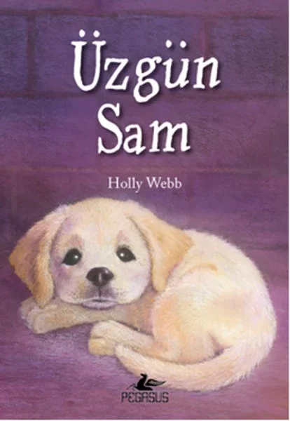Üzgün Sam Fiyatı, Yorumları ve Özellikleri
