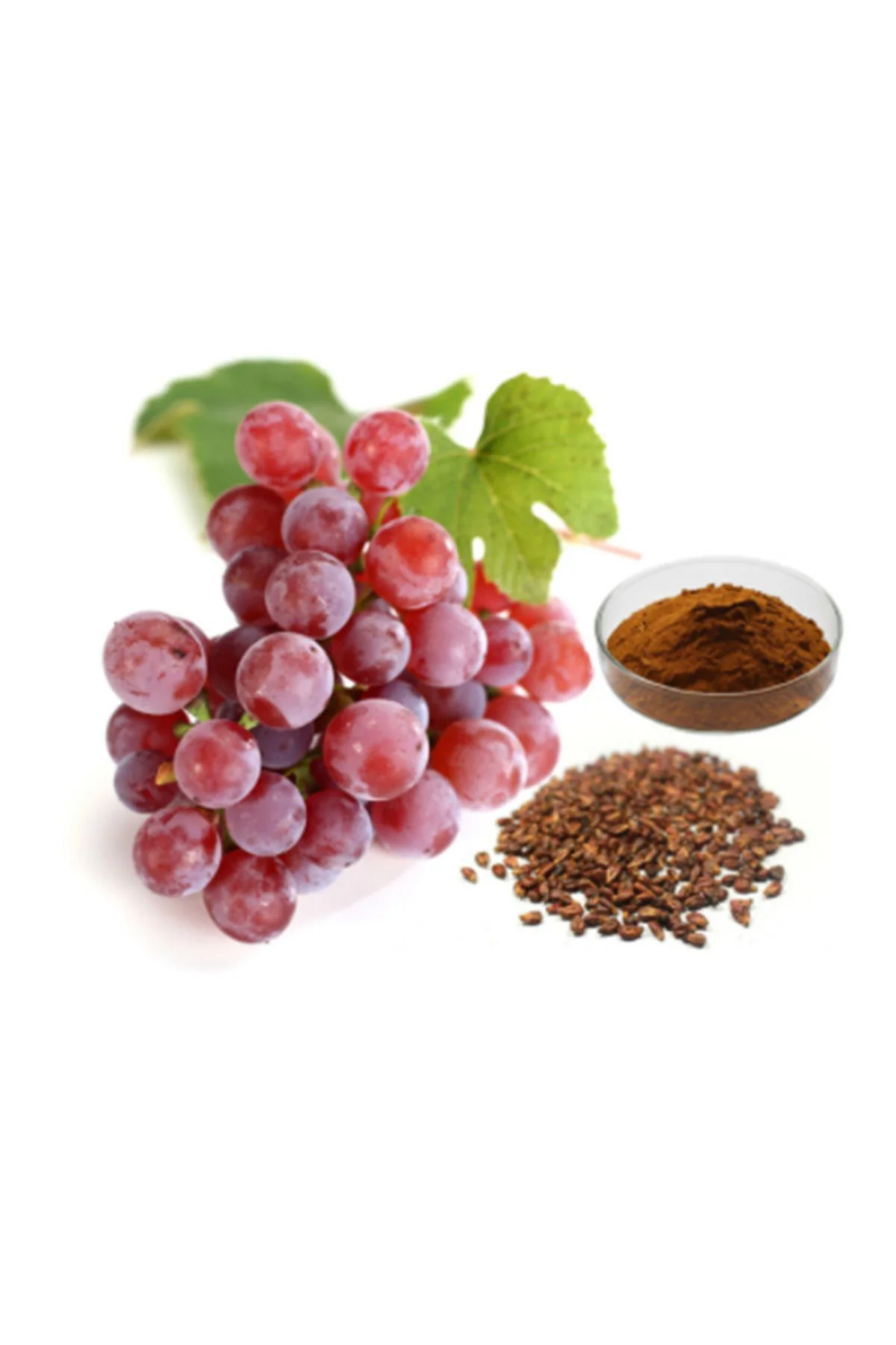 ÜZÜM ÇEKİRDEĞİ ÖĞÜTÜLMÜŞ 100 GR