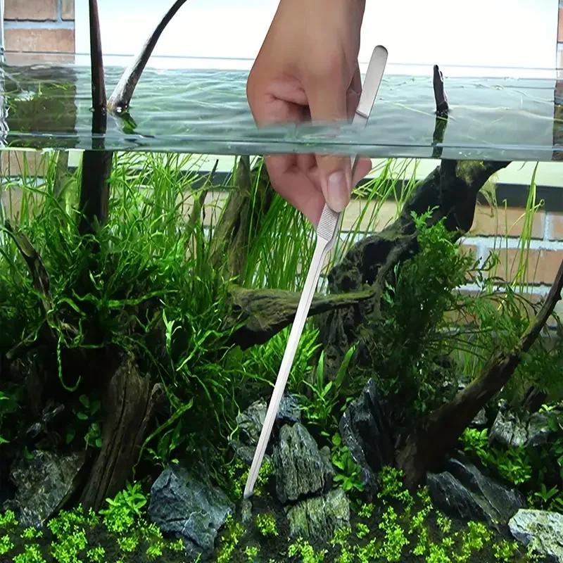 Uzun 30 cm Çelik Cımbız - Akvaryum Maşası Fiyatı, Yorumları ve Özellikleri