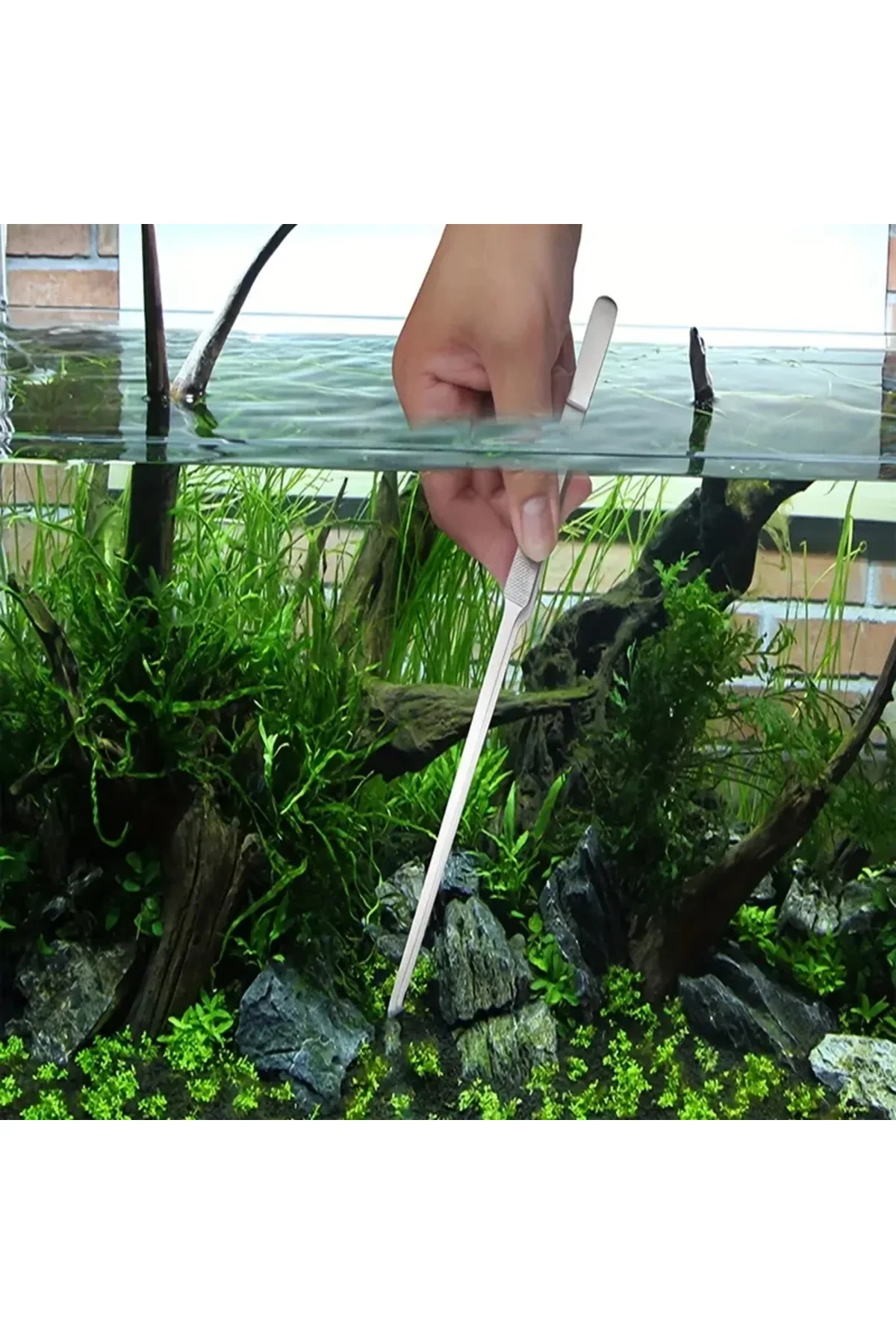 Uzun 30 Cm Çelik Cımbız - Akvaryum Maşası - Görsel 3