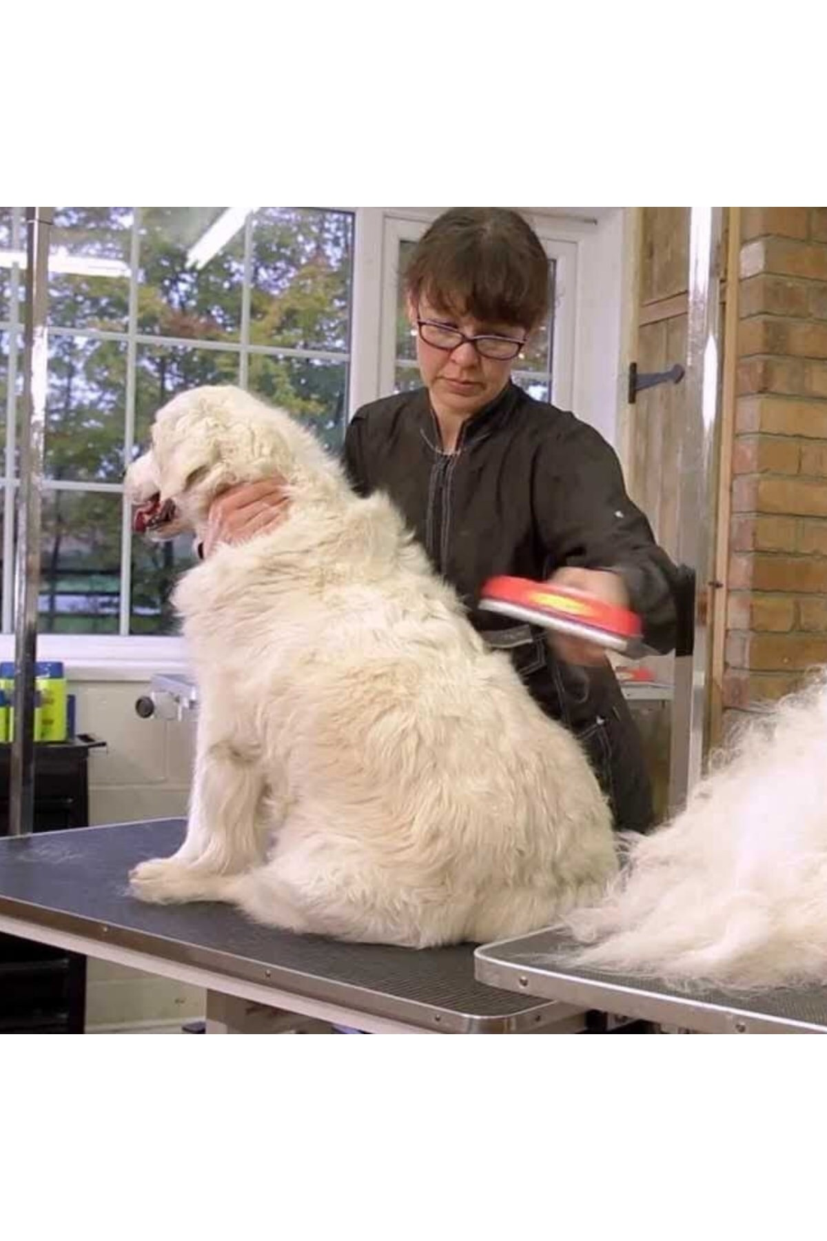 Salkım Planet Uzun Tüylü Köpekler İçin Kolay Tarama Fırçası Temizlenebilir Çeli