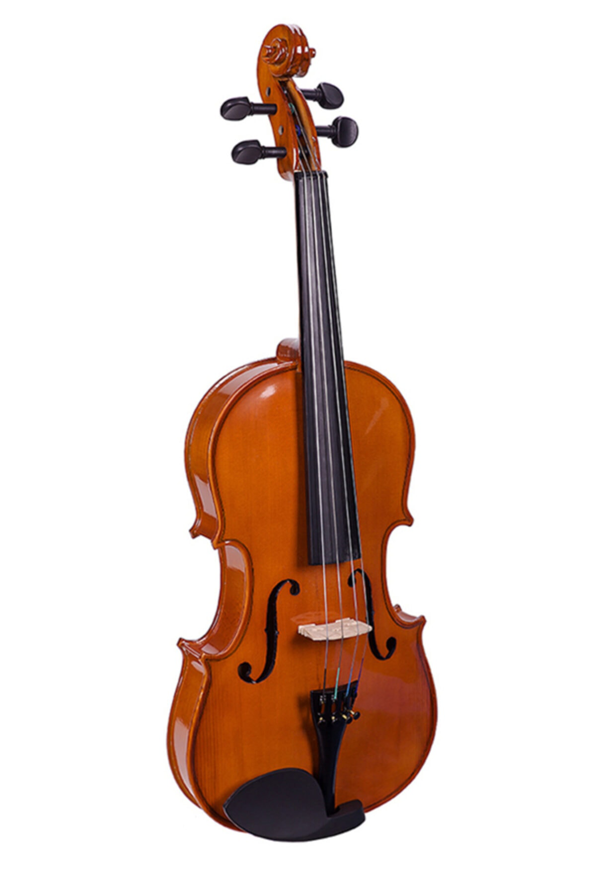 V160 Valencia Öğrenci Kemanı 4/4