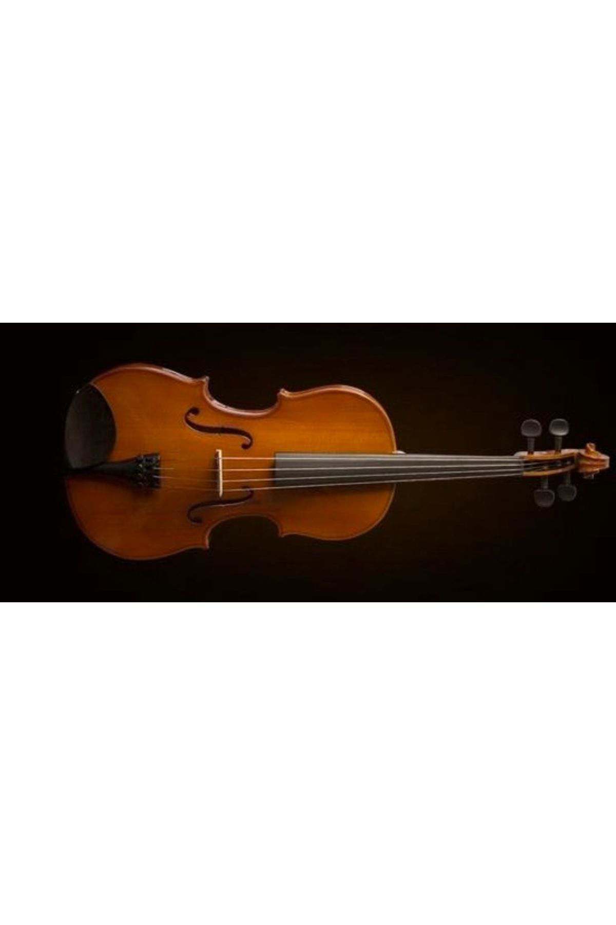 Valencia Va16038 Viola Kutulu 15"(38Cm) Viola Sunburst Kutulu 15"(38Cm)