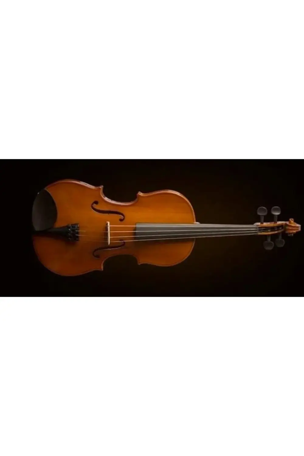VA16040 VİOLA KUTULU 15 5"(40cm) Viola Sunburst Kutulu 15 5"(40cm