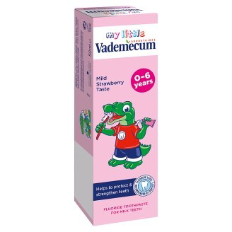 Vademecum 0-6 Yaş Diş Macunu 50 ml Hafif Çilek Şekersiz Vademecum 0-6 Yaş Diş Macunu 50 ml Hafif Çilek Şekersiz