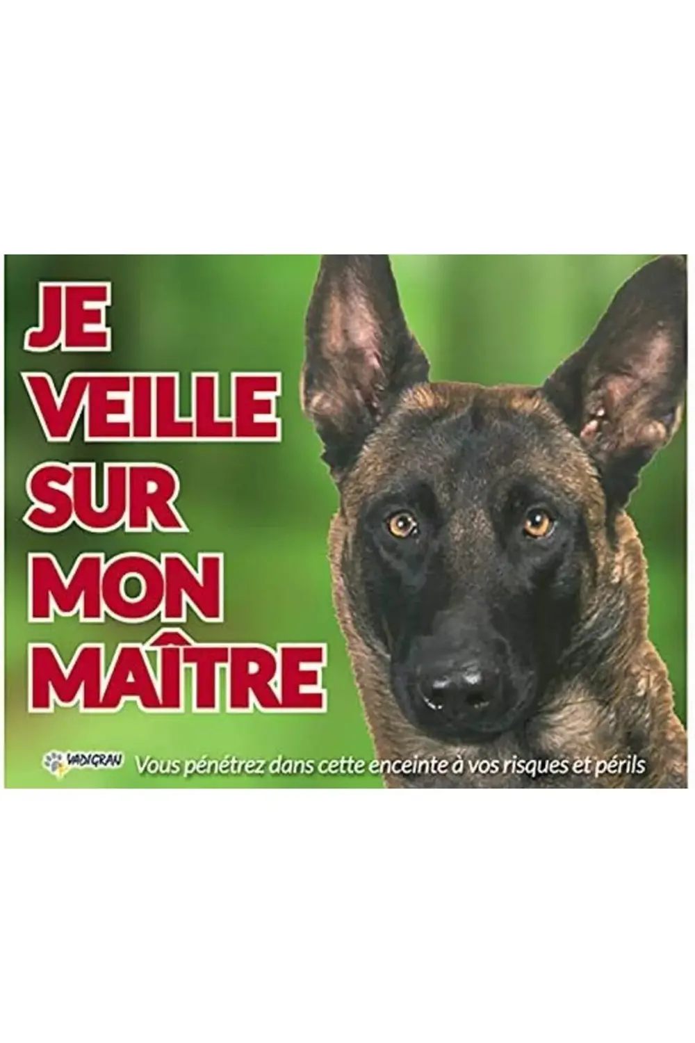 Vadigran Malinois Köpek Fotoğraf Tabelası 1155328