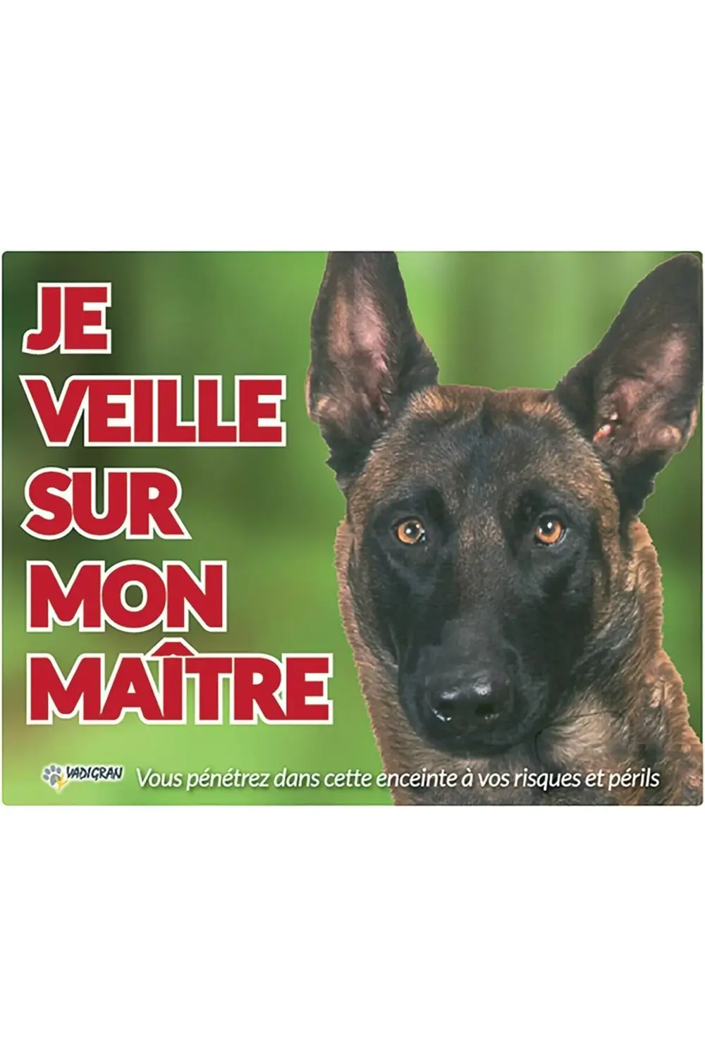 Vadigran Malinois Köpek Fotoğraf Tabelası 1155328