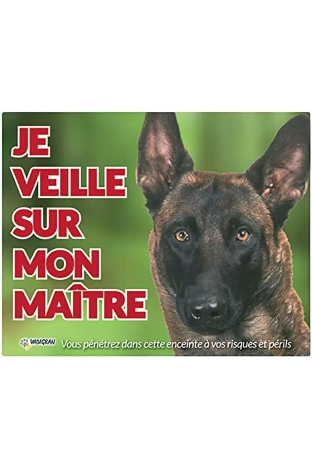 Vadigran Malinois Köpek Fotoğraf Tabelası 1155328