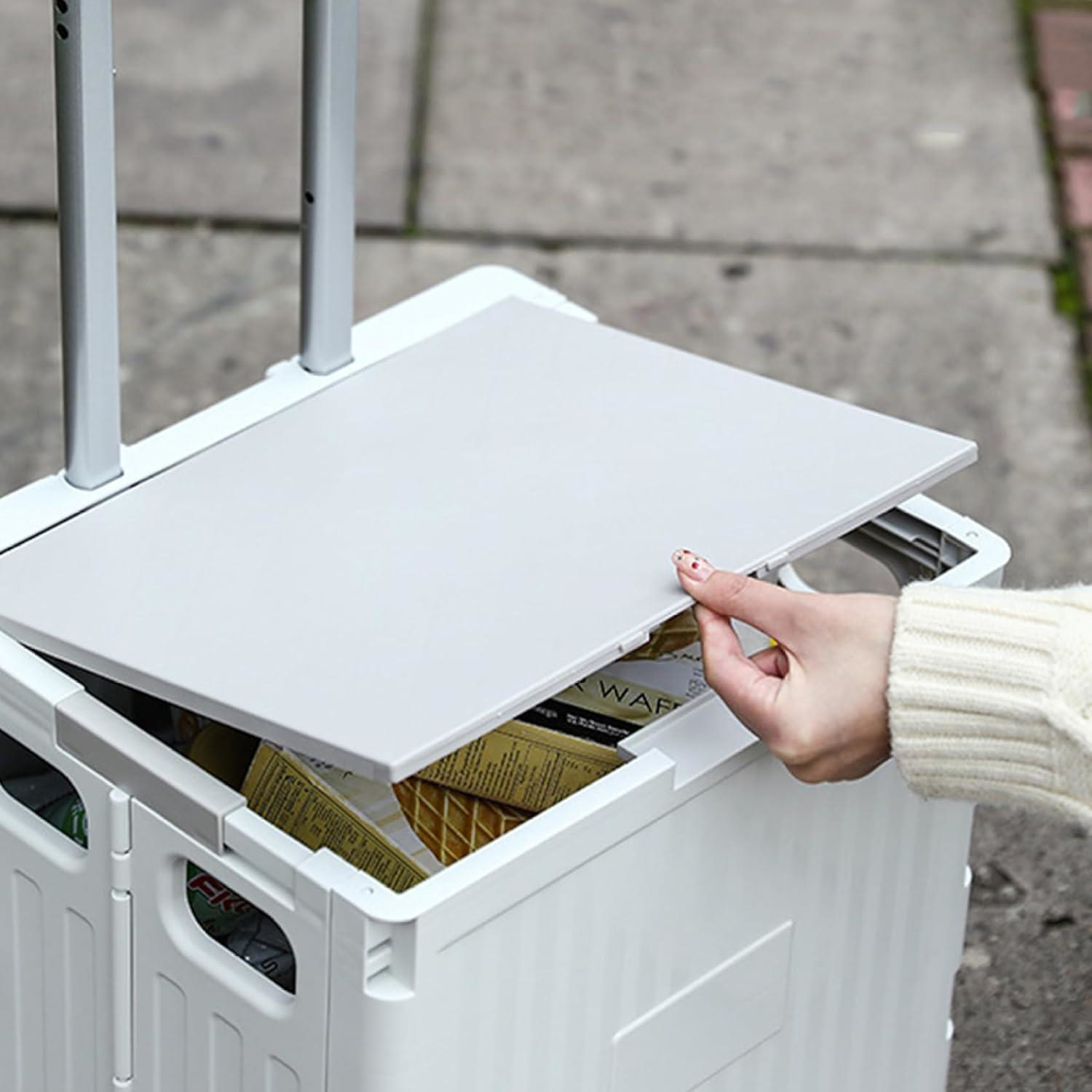 Valkyrie  Katlanabilir 4 Tekerlekli Alışveriş Ve Depolama Çantası 