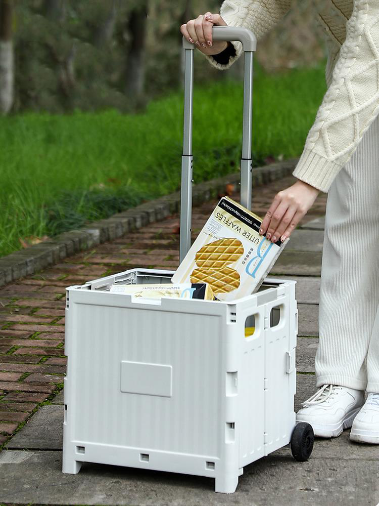 Valkyrie  Katlanabilir İki Tekerlekli Alışveriş Ve Depolama Çantas