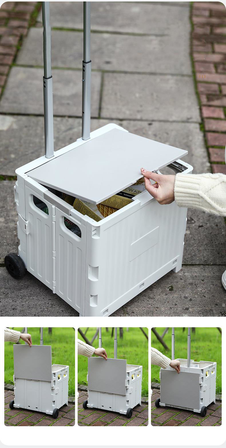 Valkyrie  Katlanabilir İki Tekerlekli Alışveriş Ve Depolama Çantas