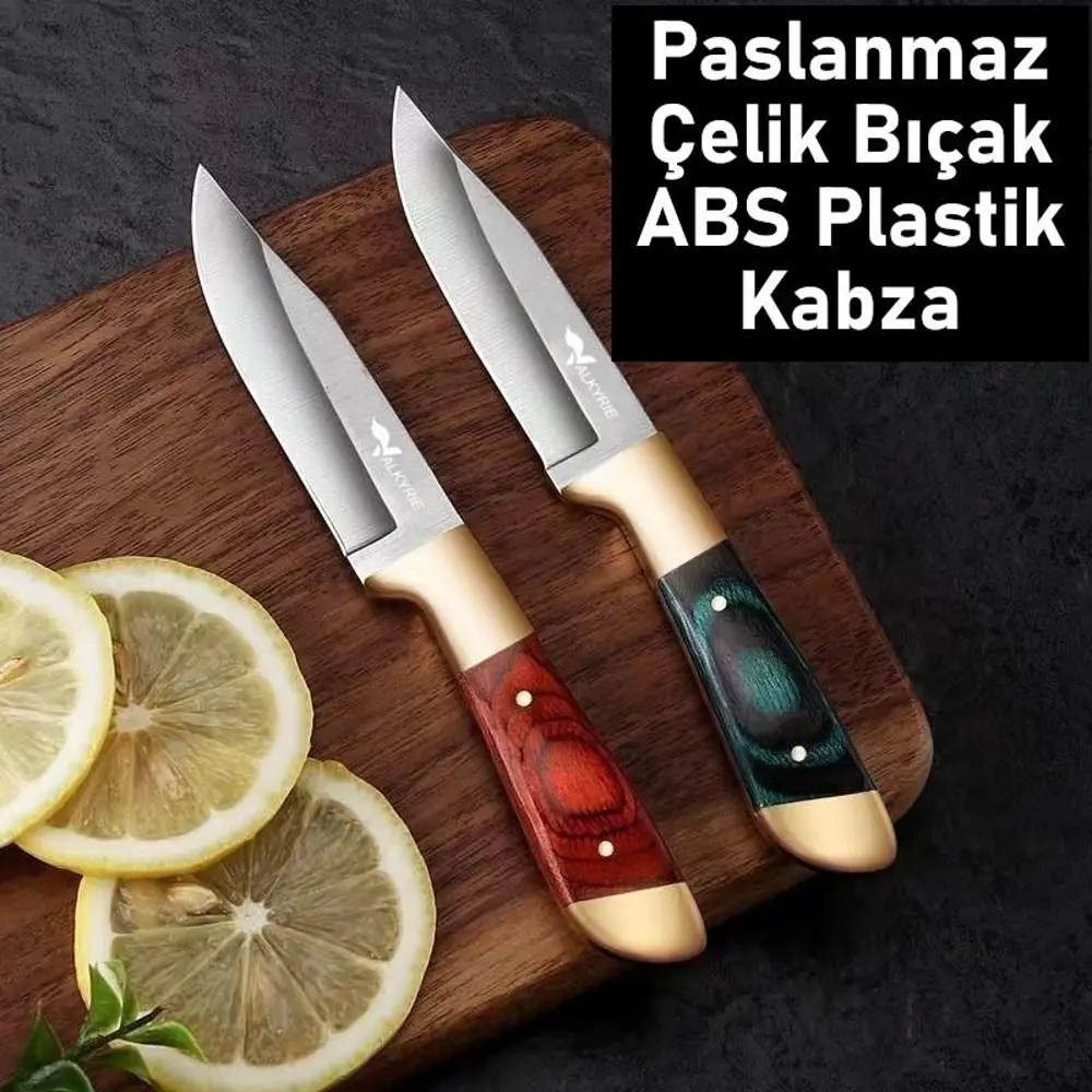 Valkyrie Paslanmaz Çelik Kamp Bıçağı | 16 cm Outdoor Av Bıçağı De Valkyrie Paslanmaz Çelik Kamp Bıçağı | 16 cm Outdoor Av Bıçağı De