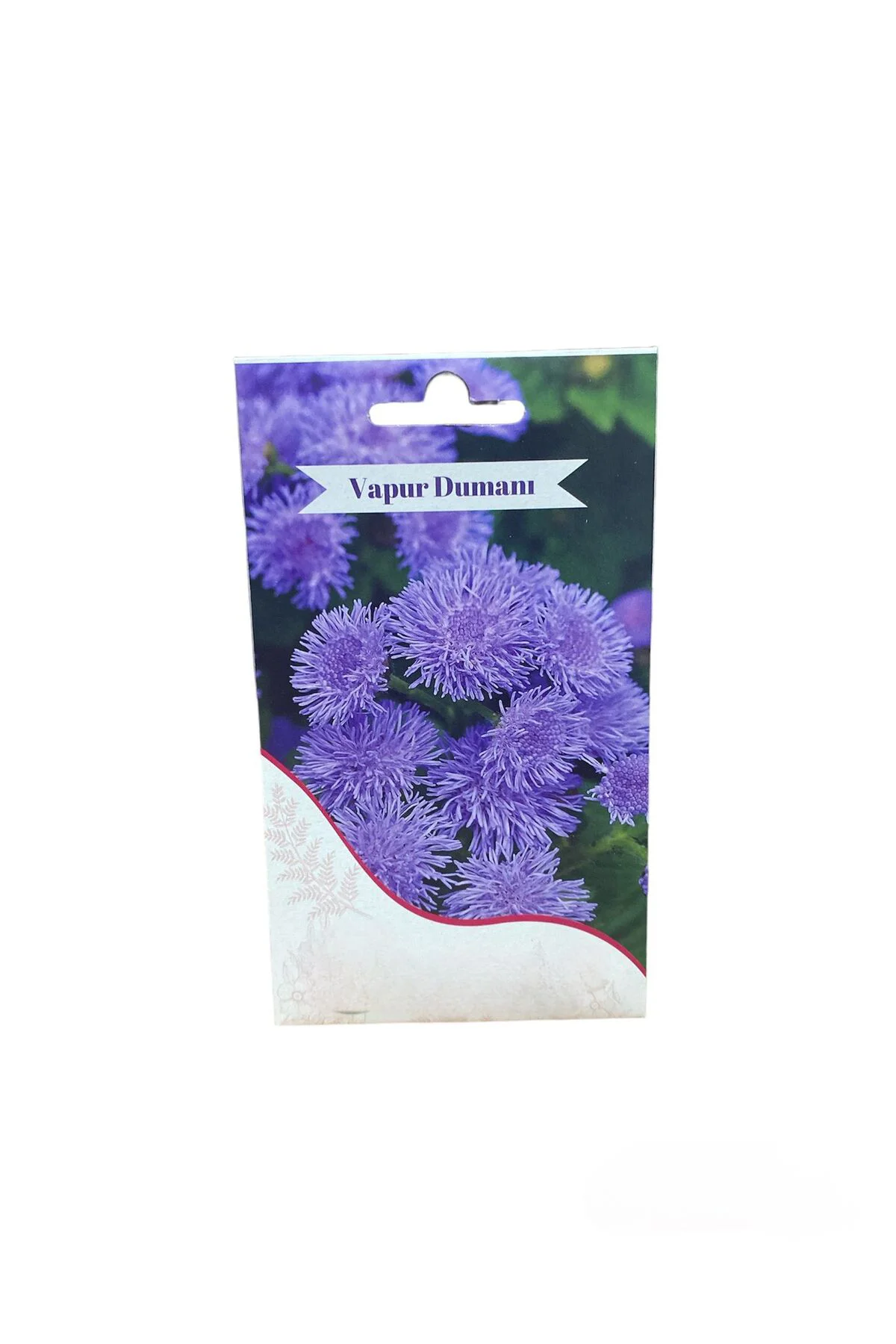 Vapur Dumanı Çiçek Tohumu 5gr