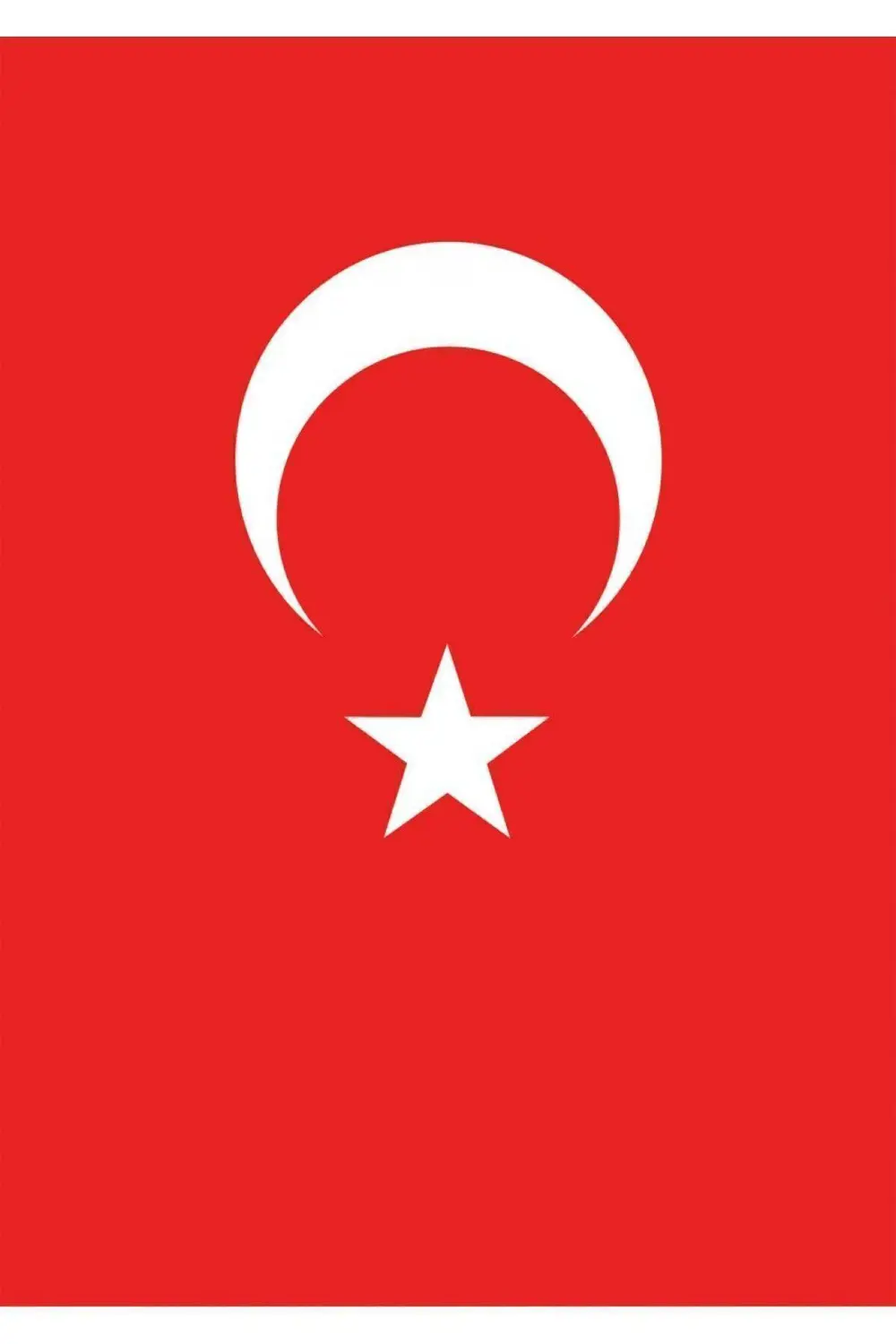 VATAN 100*150 TÜRK BAYRAĞI