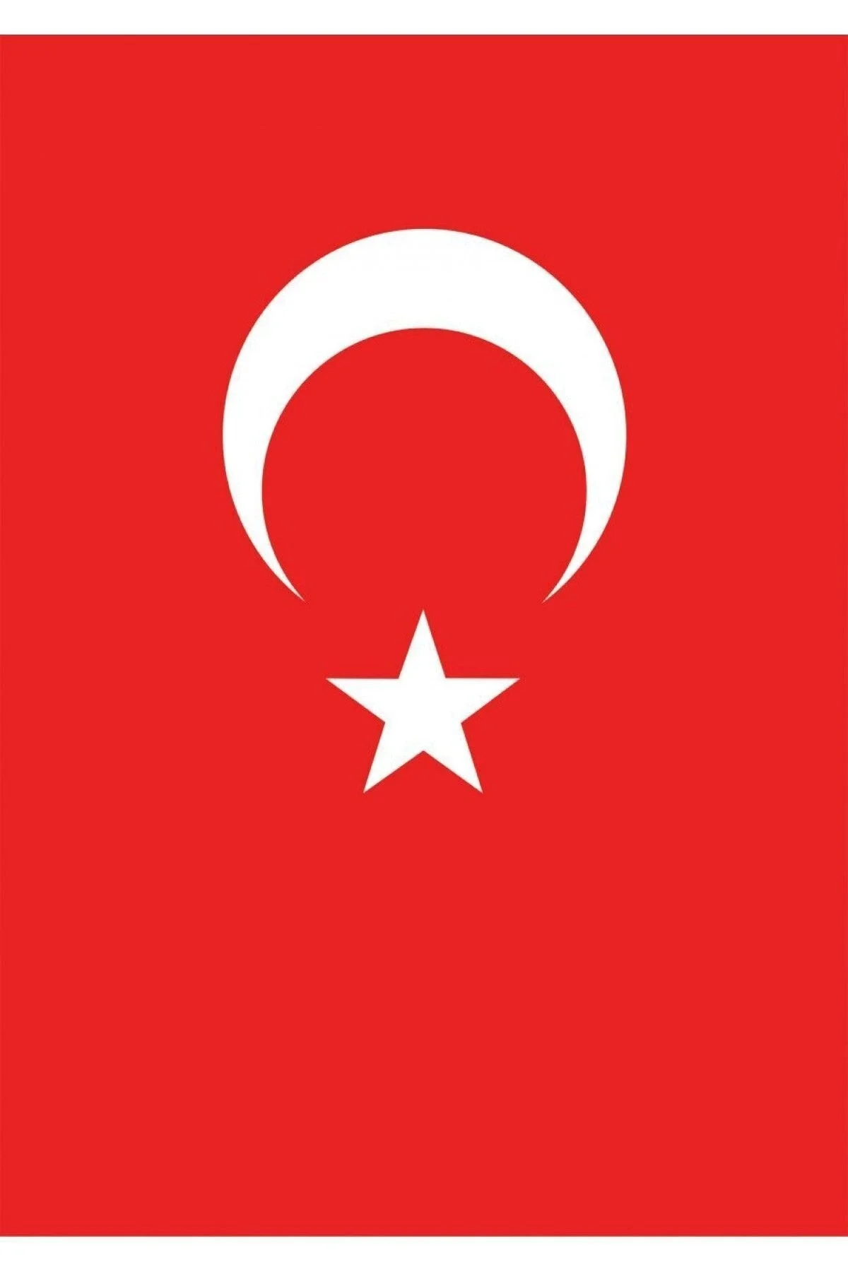 Vatan 70x105 Bayrak Vt106 Vatan 70x105 Bayrak Vt106