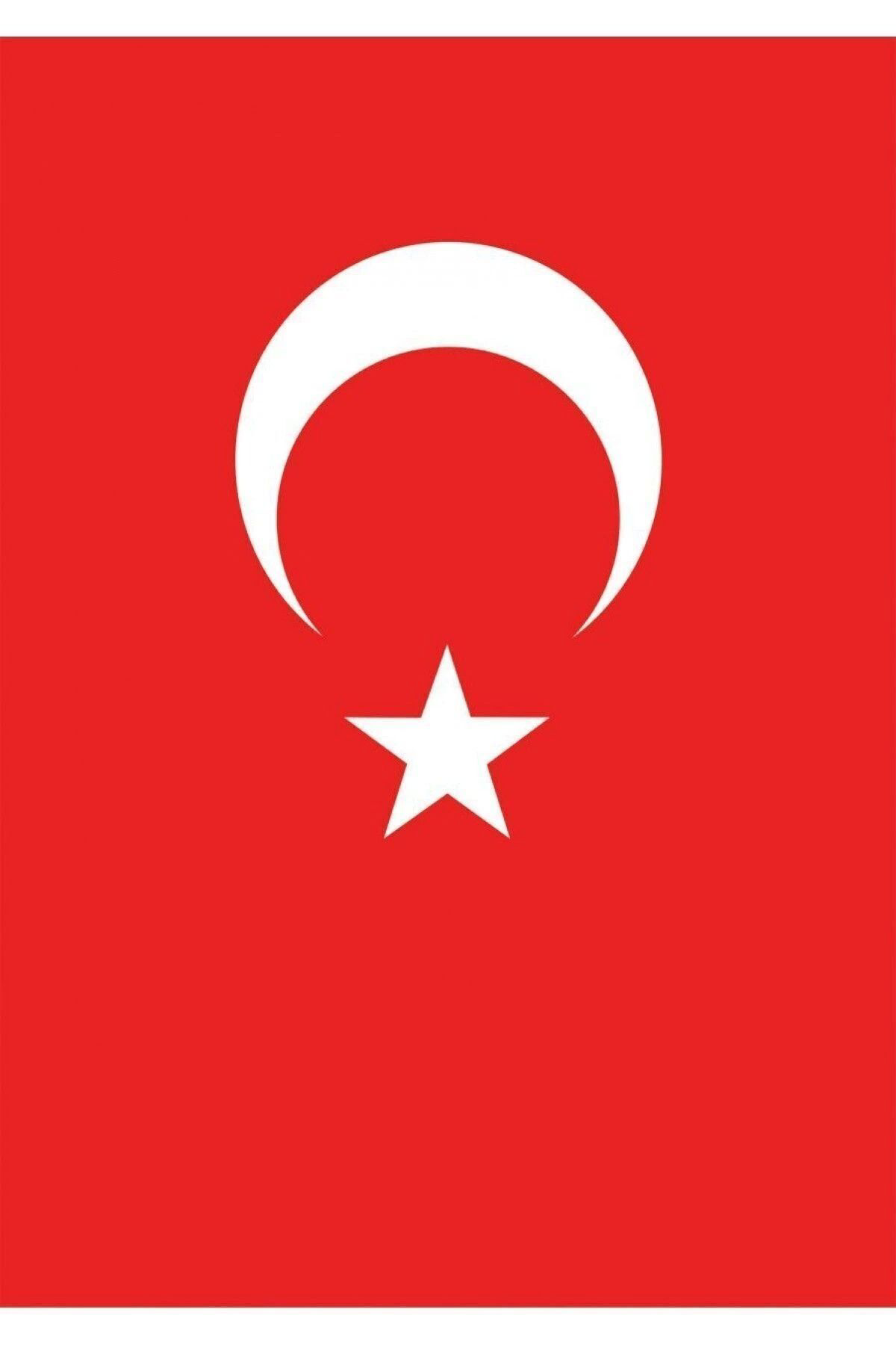 Vatan Bayrak Vatan/70*105 Polyes.Türk Bayraği