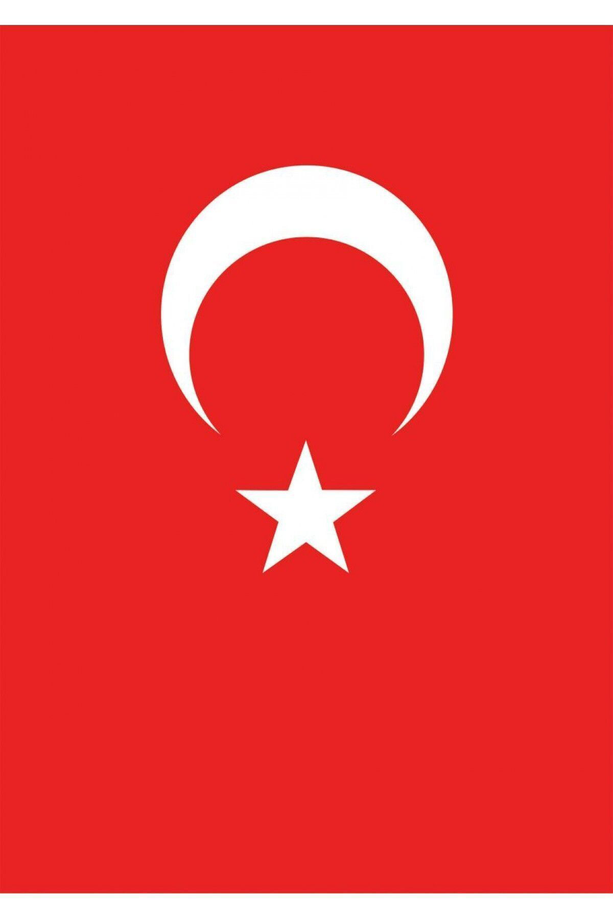 VATAN/TÜRK BAYRAĞI 60*90